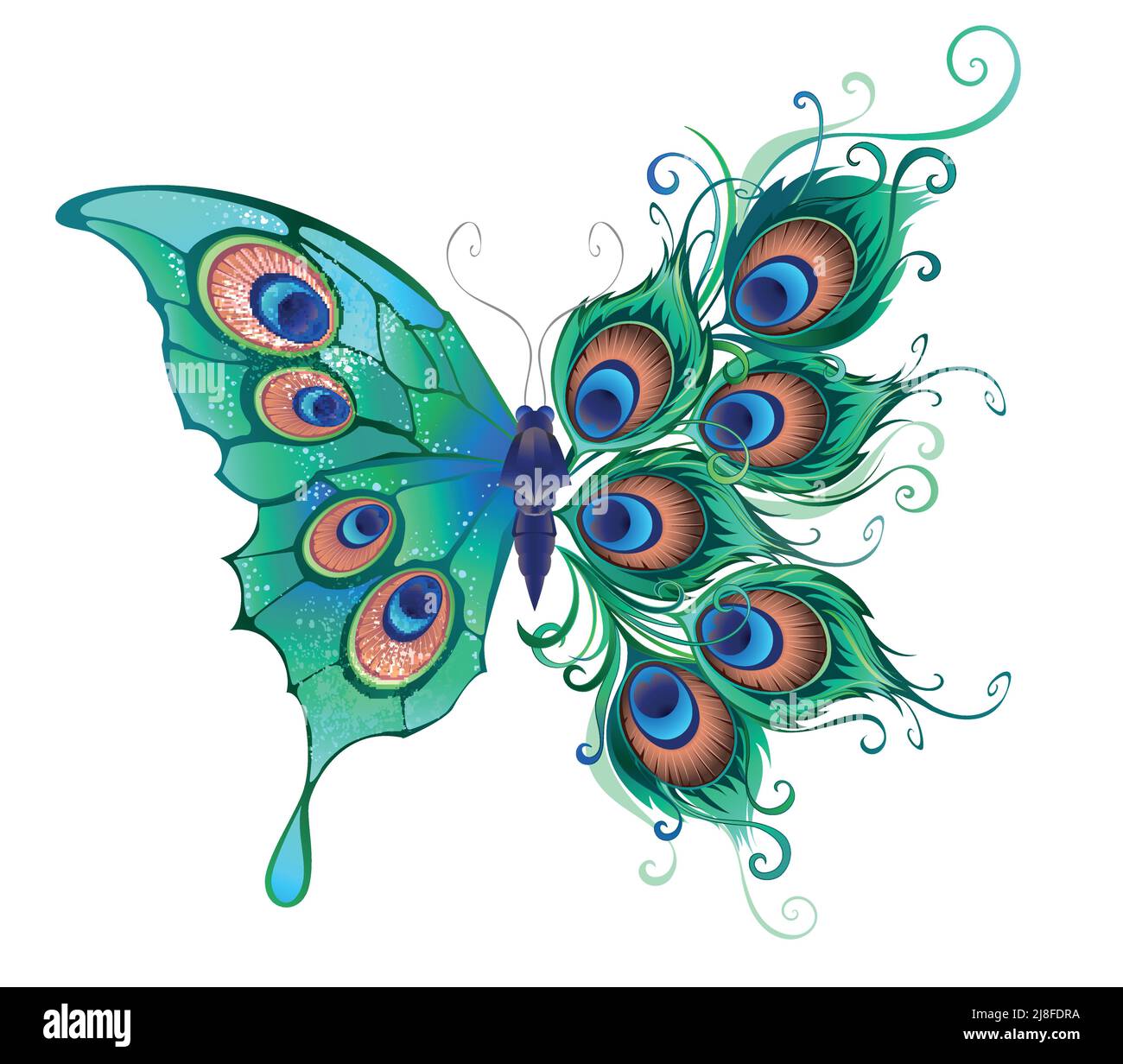 Mariposa artísticamente dibujada, ficticia, verde, detallada con plumas verdes, hermosas, pavos reales sobre fondo blanco. Ilustración del Vector