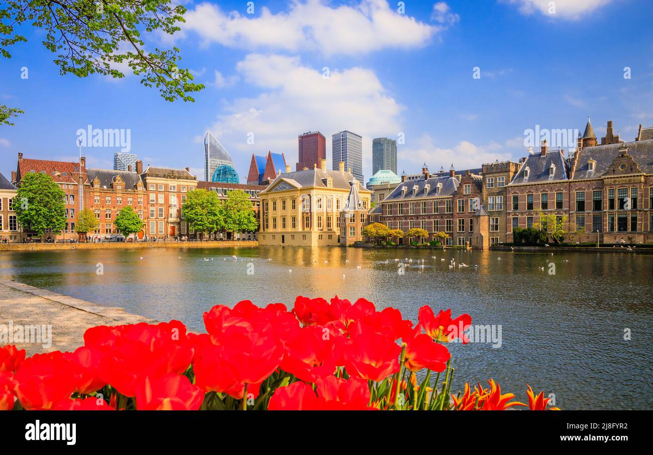 La Haya, Países Bajos. El centro de Skyline, los edificios del parlamento y el lago Hofvijver. Foto de stock