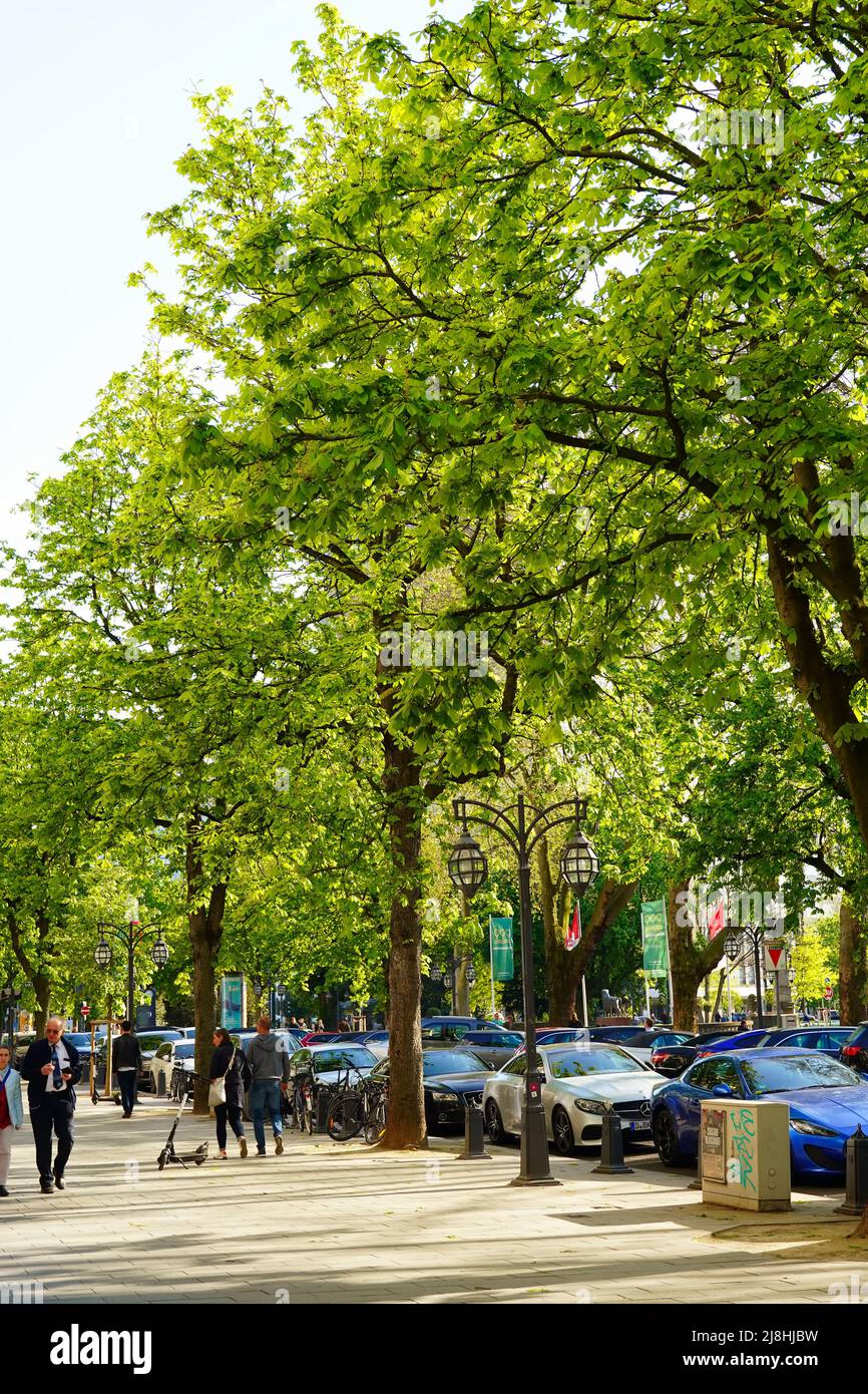 El famoso 'Königsallee', uno de los bulevares de compras de lujo más populares de Europa, con hermosos árboles antiguos y faroles de gas vintage. Foto de stock