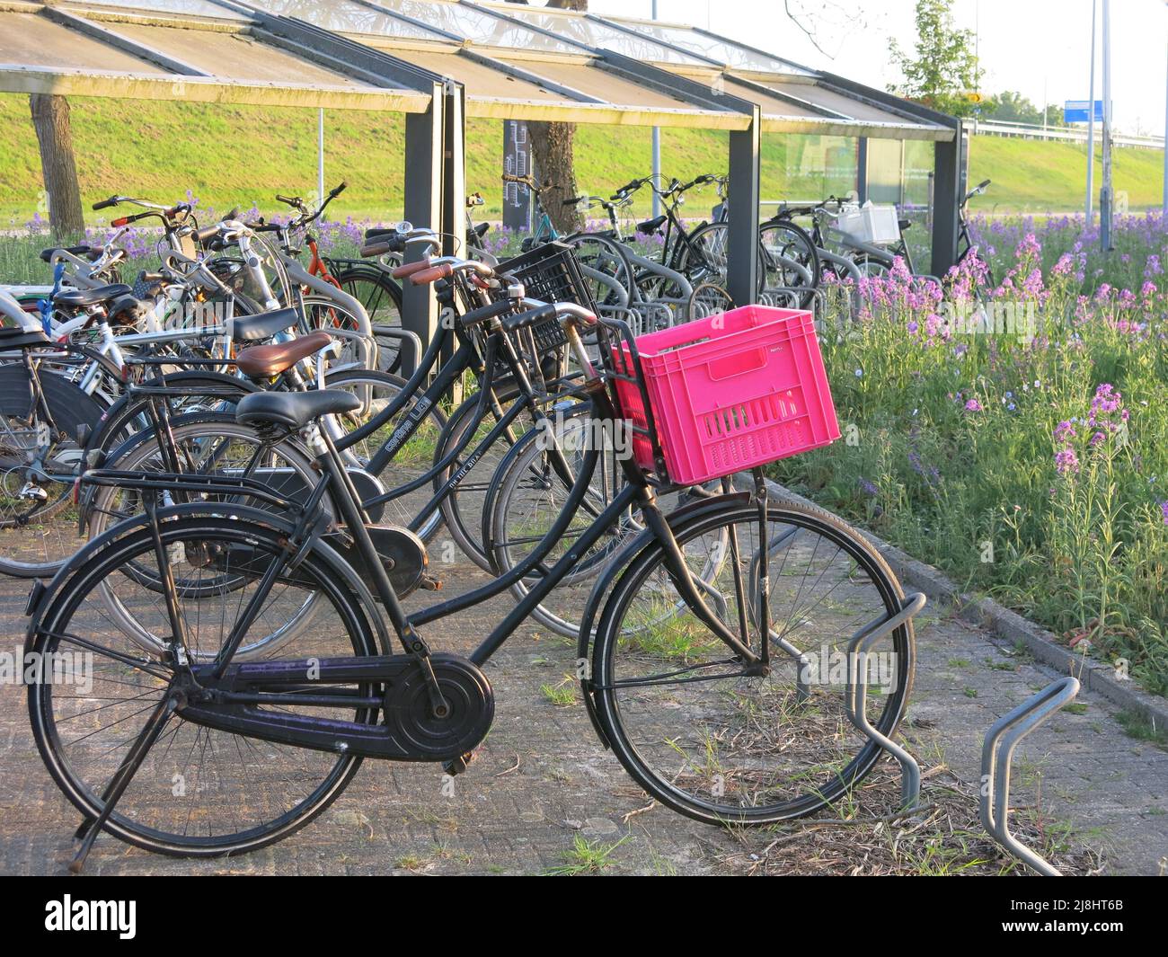 El ciclismo como transporte sostenible: La ciudad modelo de Almere tiene un montón de soportes para bicicletas como parte de las políticas de transporte integradas de los Países Bajos. Foto de stock