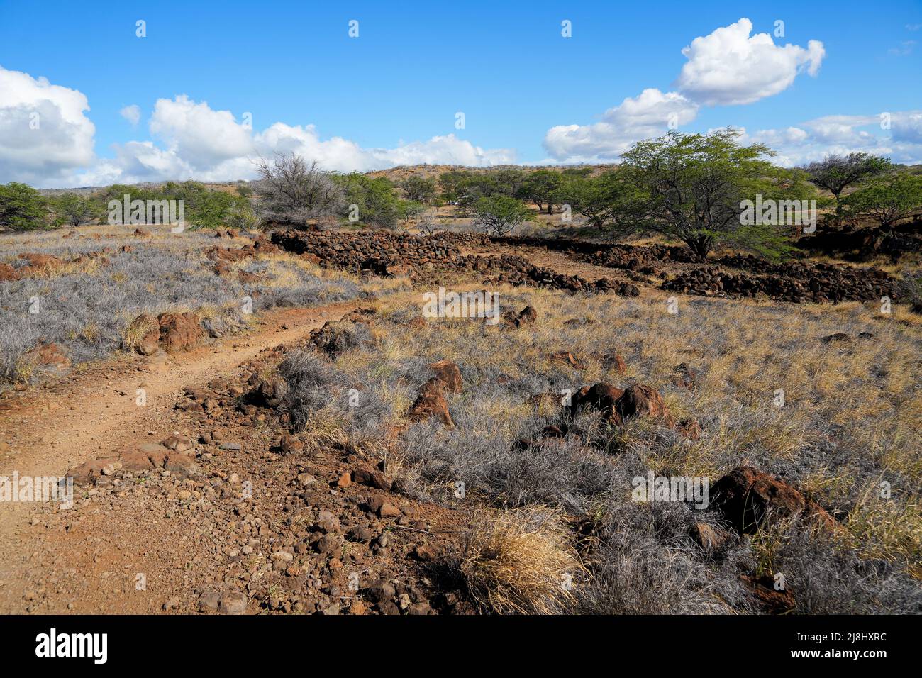 Campo de ruinas en el Parque Histórico Estatal Lapakahi en la isla de Hawai'i (Isla Grande) en el Océano Pacífico Foto de stock