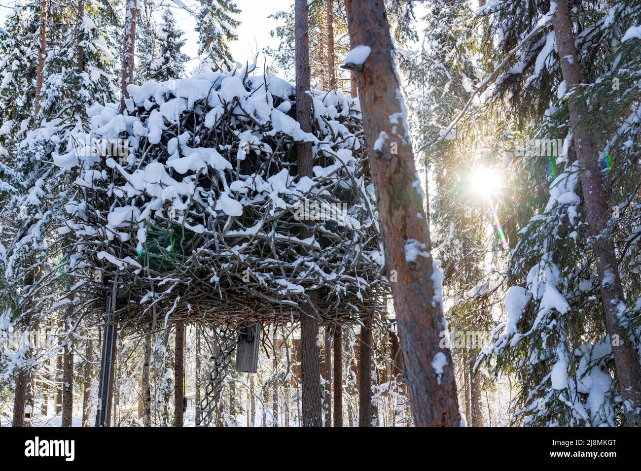 Ambiente acogedor dormitorio para los turistas del Tree Hotel en la copa del árbol en forma de nido de aves, Harads, Laponia, Suecia Foto de stock