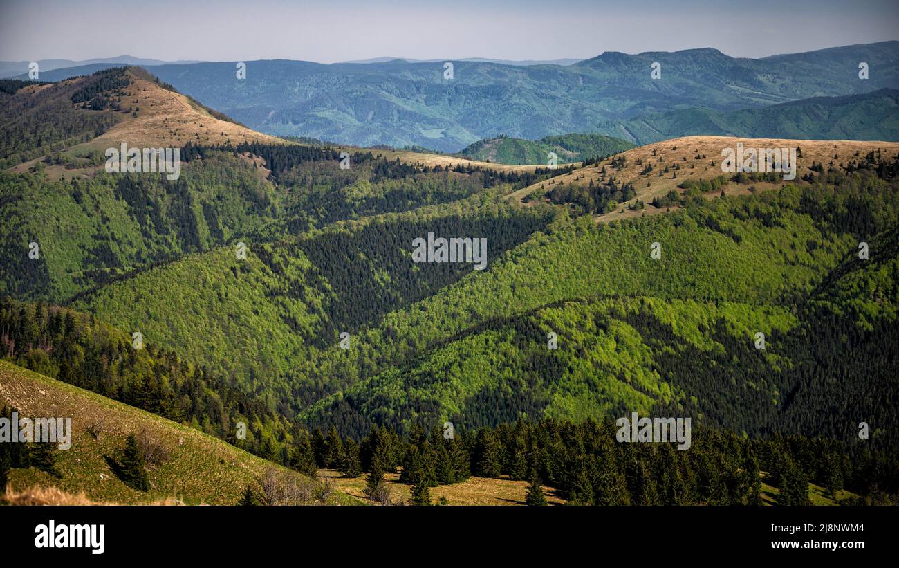 Colorido paisaje de montaña primaveral. Monte Velka Chochula, los Tatras Bajos, Eslovaquia. Foto de stock