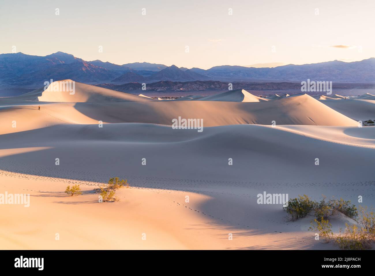 Amanecer sobre las dunas de arena en Mesquite Flats en el Parque Nacional del Valle de la Muerte al amanecer Foto de stock