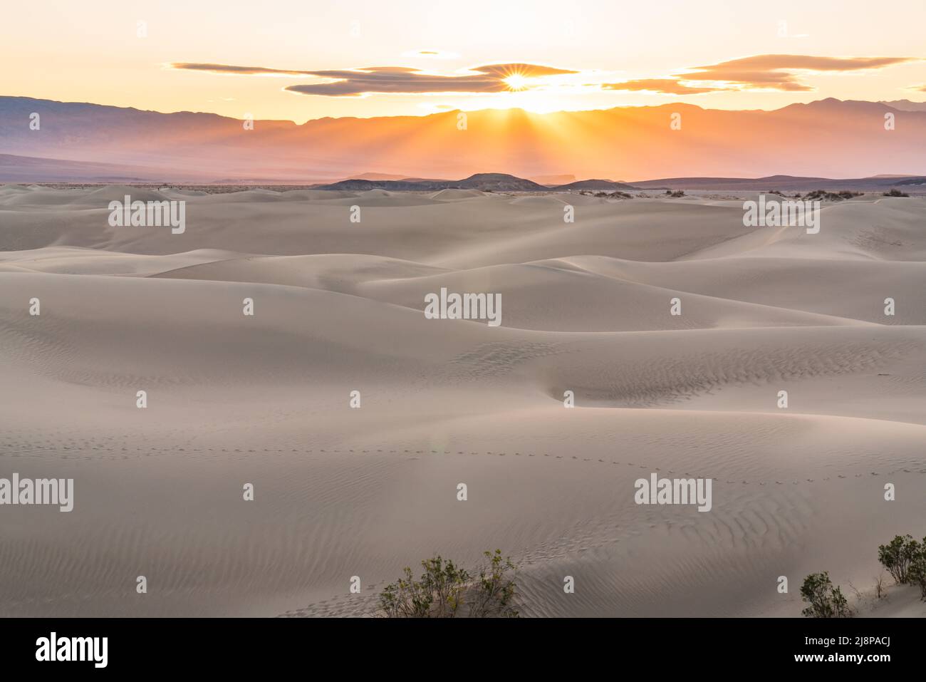 Amanecer sobre las dunas de arena en Mesquite Flats en el Parque Nacional del Valle de la Muerte al amanecer Foto de stock