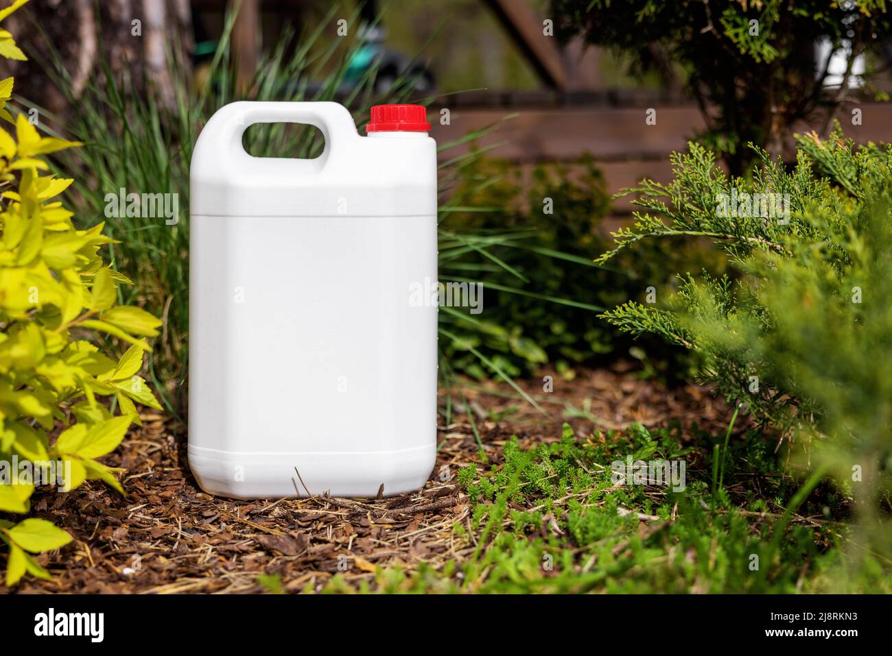 blanco en blanco plástico jerry lata para el fertilizante de la planta del jardín en el lecho de la flor Foto de stock