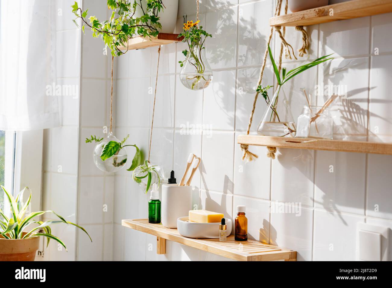Estantes de madera con artículos de tocador contra pared de azulejos blancos con diseño biofílico y ecológico. Ollas de vidrio con plantas verdes Fotografía de stock - Alamy