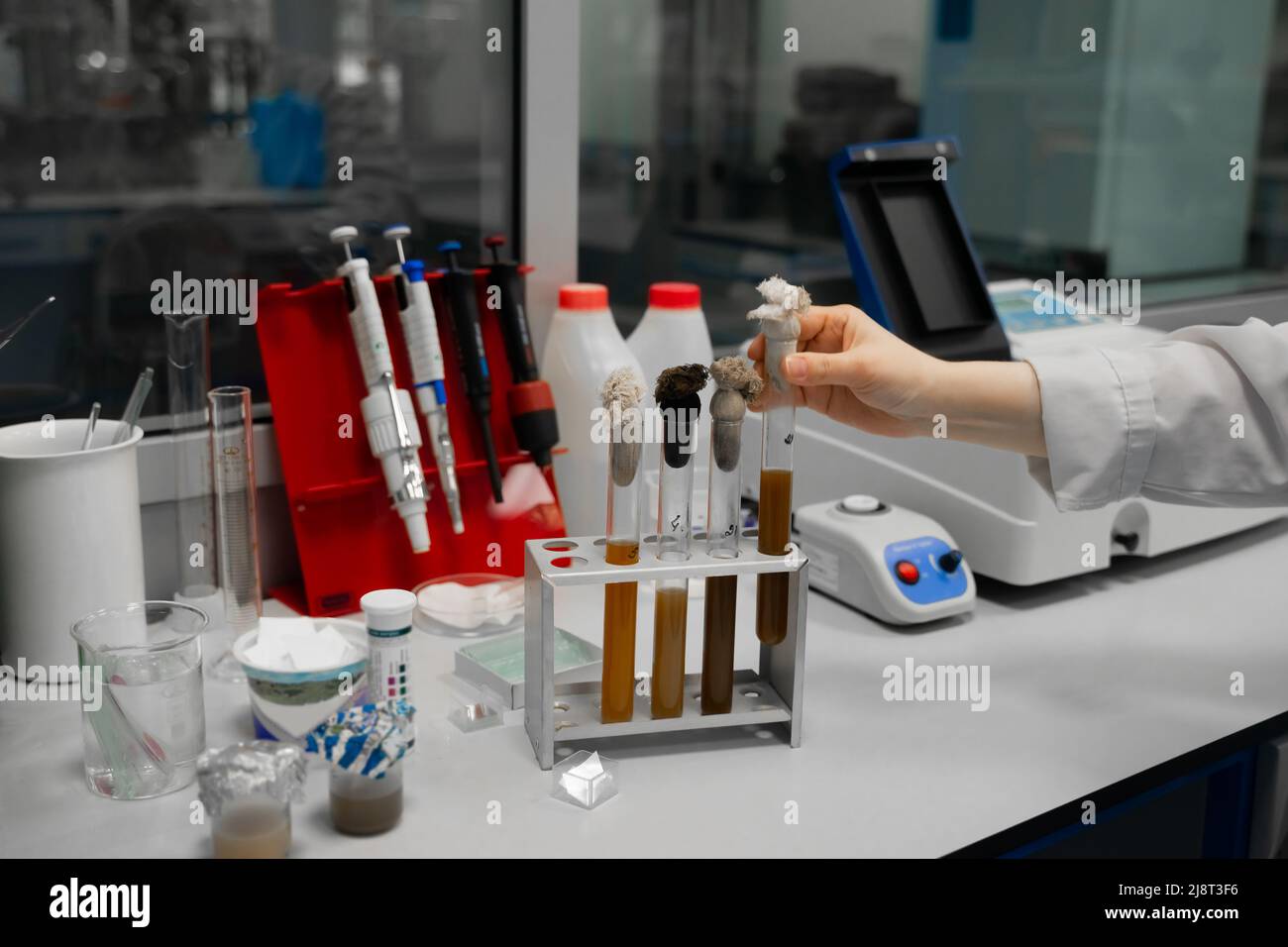Una mano en un laboratorio biológico coloca un tubo de ensayo con una  muestra química en una gradilla para tubos de ensayo Fotografía de stock -  Alamy