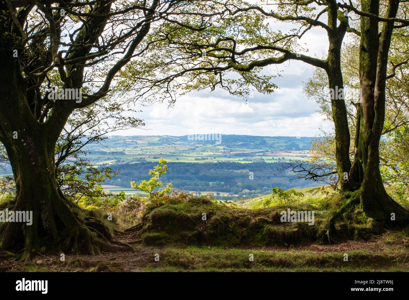 Quantock Hills… Triscombe Stone Great Hill cairn (las vistas tienen vistas al oeste) Foto de stock