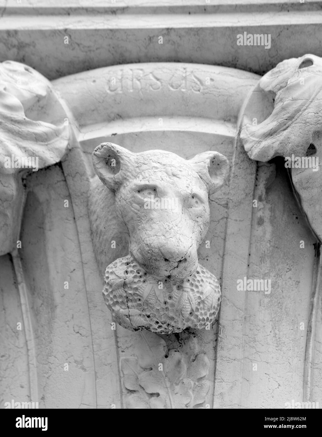 Venecia, VE, Italia - 18 de mayo de 2020: Hocico de oso con cebollino y panal en la boca en la columna del Palacio Ducal. Este animal pertenece a La A. Foto de stock