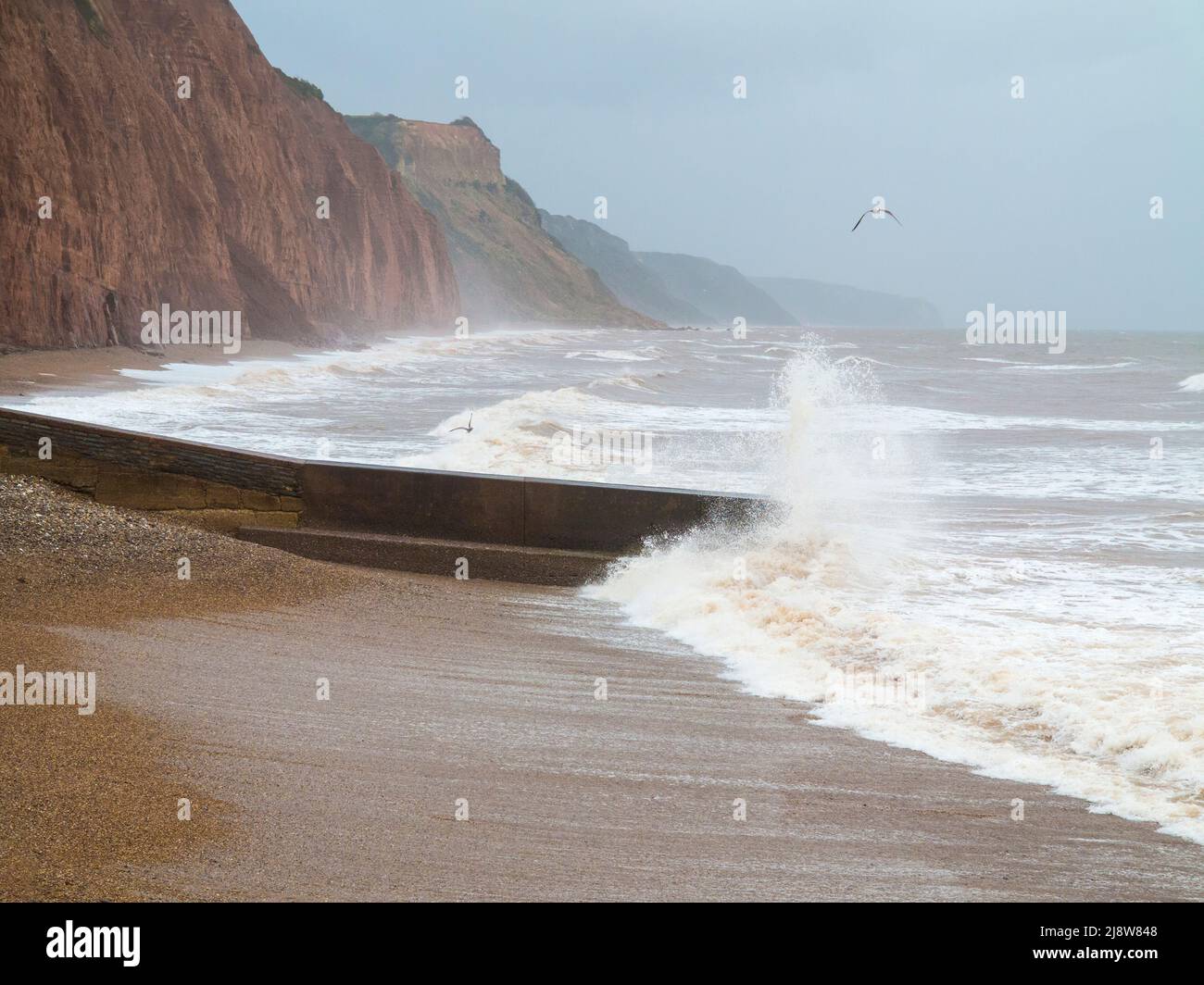 Clima del Reino Unido 27/10/2013. Sidmouth, Devon, Inglaterra. REINO UNIDO. El mar batea la costa a medida que la tormenta se acerca Foto de stock