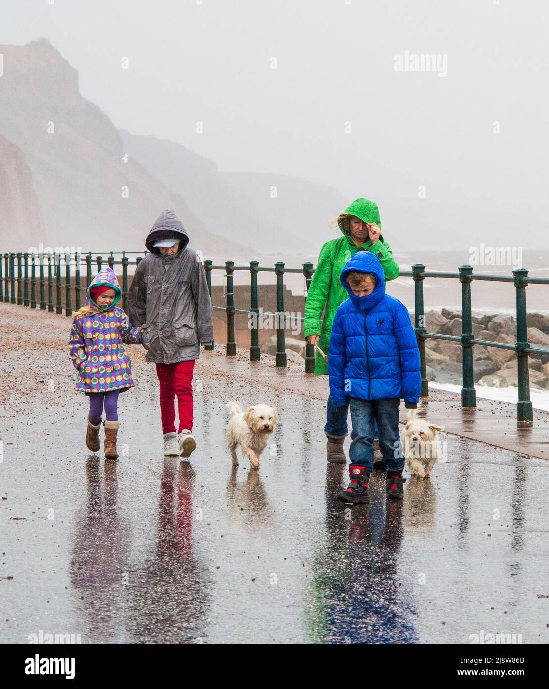 Clima del Reino Unido 27/10/2013. Sidmouth, Devon, Inglaterra. REINO UNIDO. La familia y los perros luchan contra la tormenta que se aproxima. Foto de stock