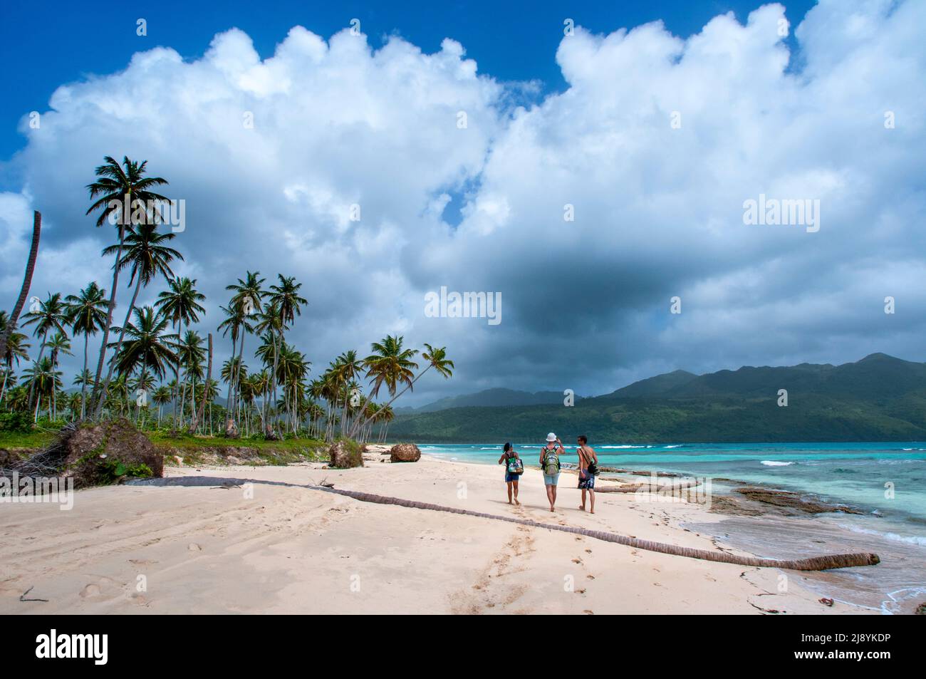 Palmeras en la playa de Playa bonita en la península de Samaná en República Dominicana cerca de la ciudad de Las Terrenas. Resultados de traducción star bor Foto de stock