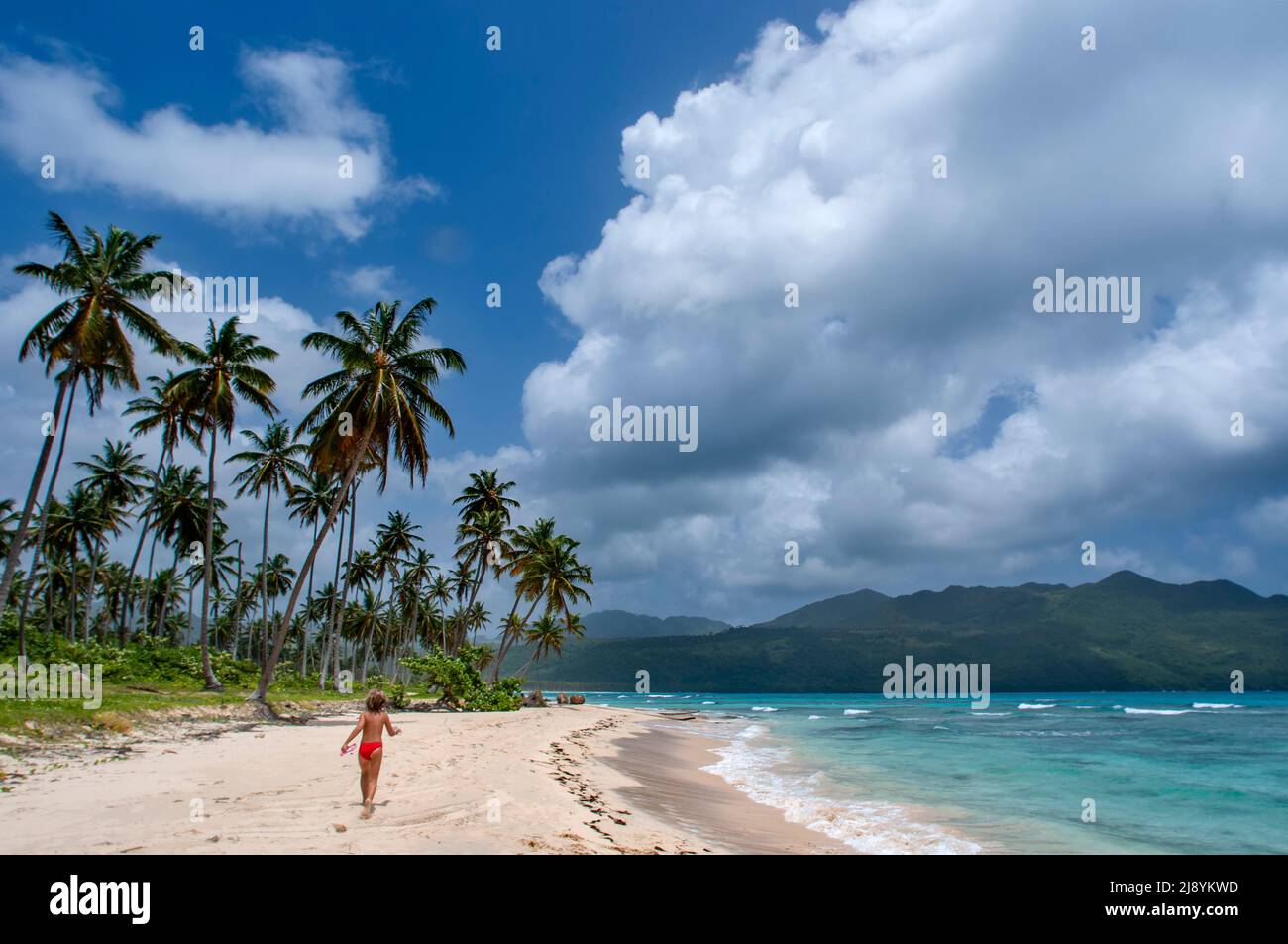 Palmeras en la playa de Playa bonita en la península de Samaná en República Dominicana cerca de la ciudad de Las Terrenas. Resultados de traducción star bor Foto de stock