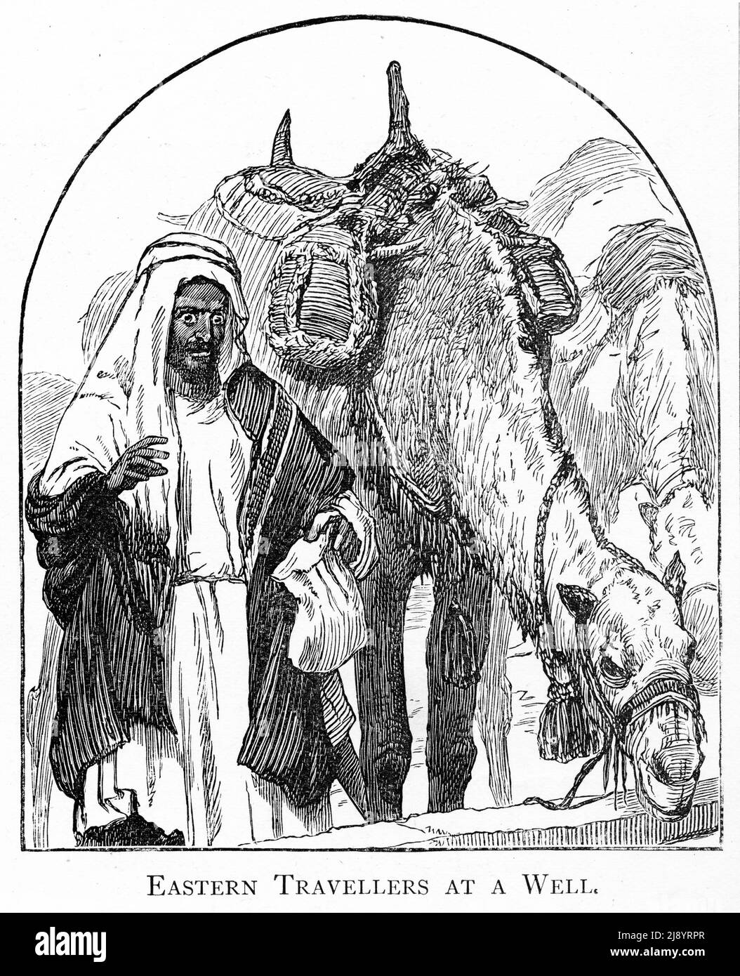 Grabado de un camello bebiendo en un pozo, alrededor de 1880 Foto de stock