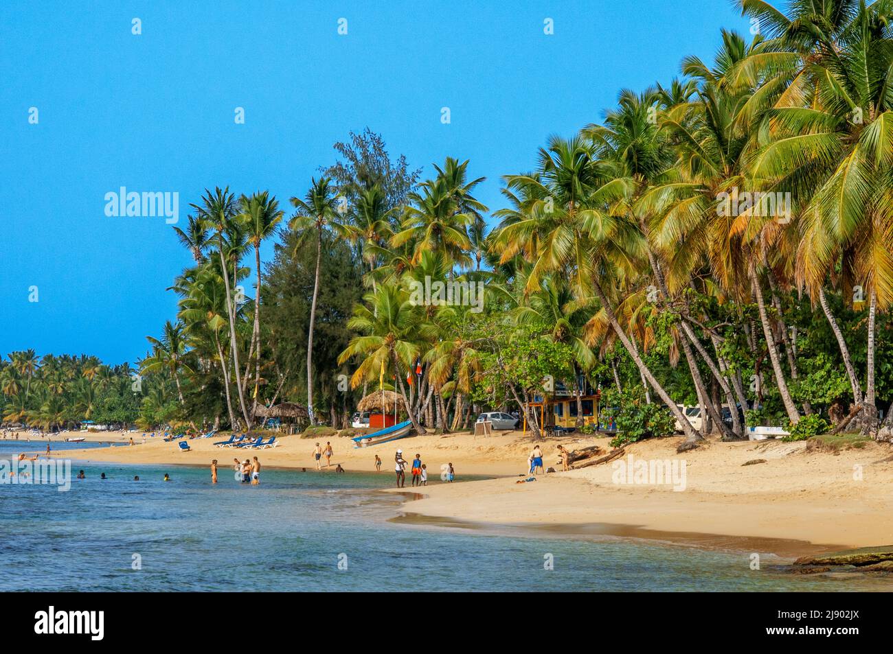 Playa Las Terrenas, Samaná, República Dominicana, Caribe, América. Playa tropical caribeña con palmeras de coco. Esta playa de arena blanca se extiende Foto de stock