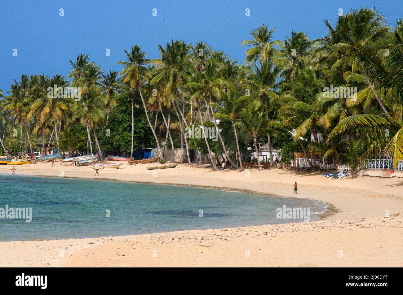 Playa Las Terrenas, Samaná, República Dominicana, Caribe, América. Playa tropical caribeña con palmeras de coco. Esta playa de arena blanca se extiende Foto de stock
