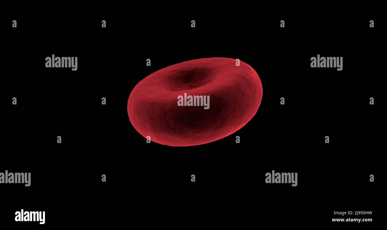 Glóbulos rojos generados digitalmente sobre fondo negro Foto de stock