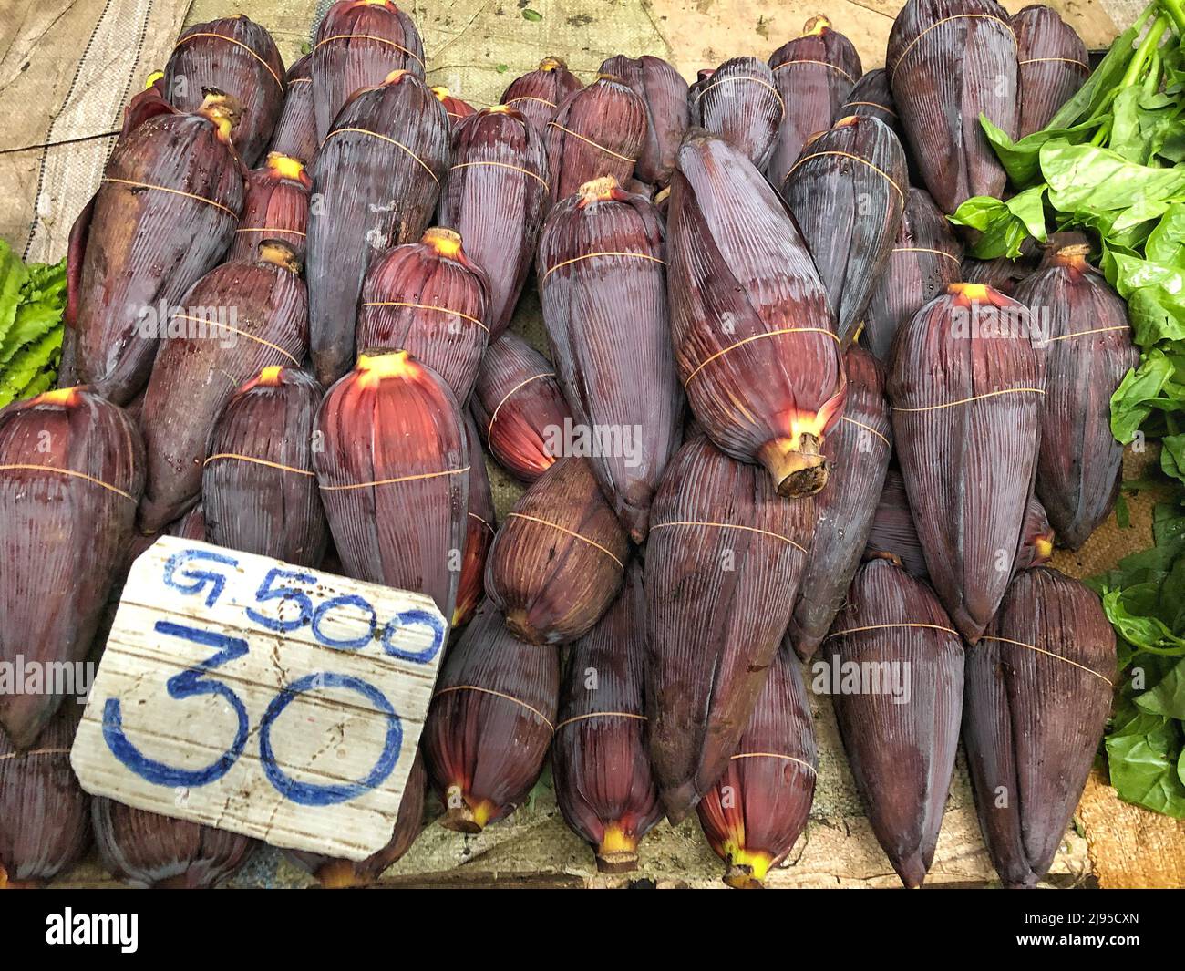 Flores de plátano con precio de etiqueta en un mercado en Sri lanka Foto de stock