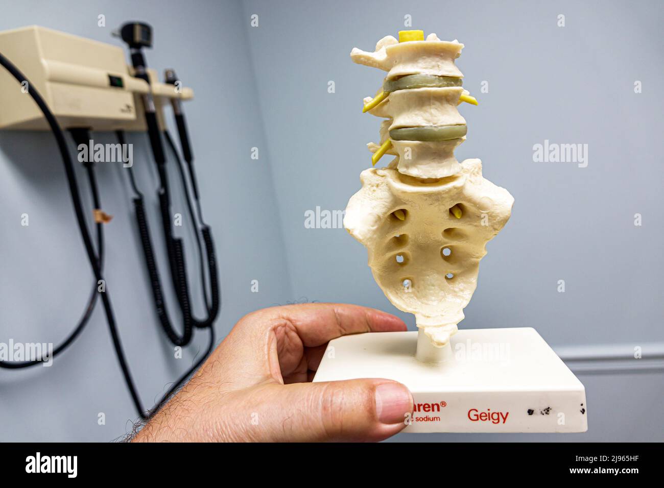 Miami Beach Florida, Mount Sinai Medical Center hospital central, columna vertebral lumbar modelo de la columna vertebral de la columna vertebral Foto de stock