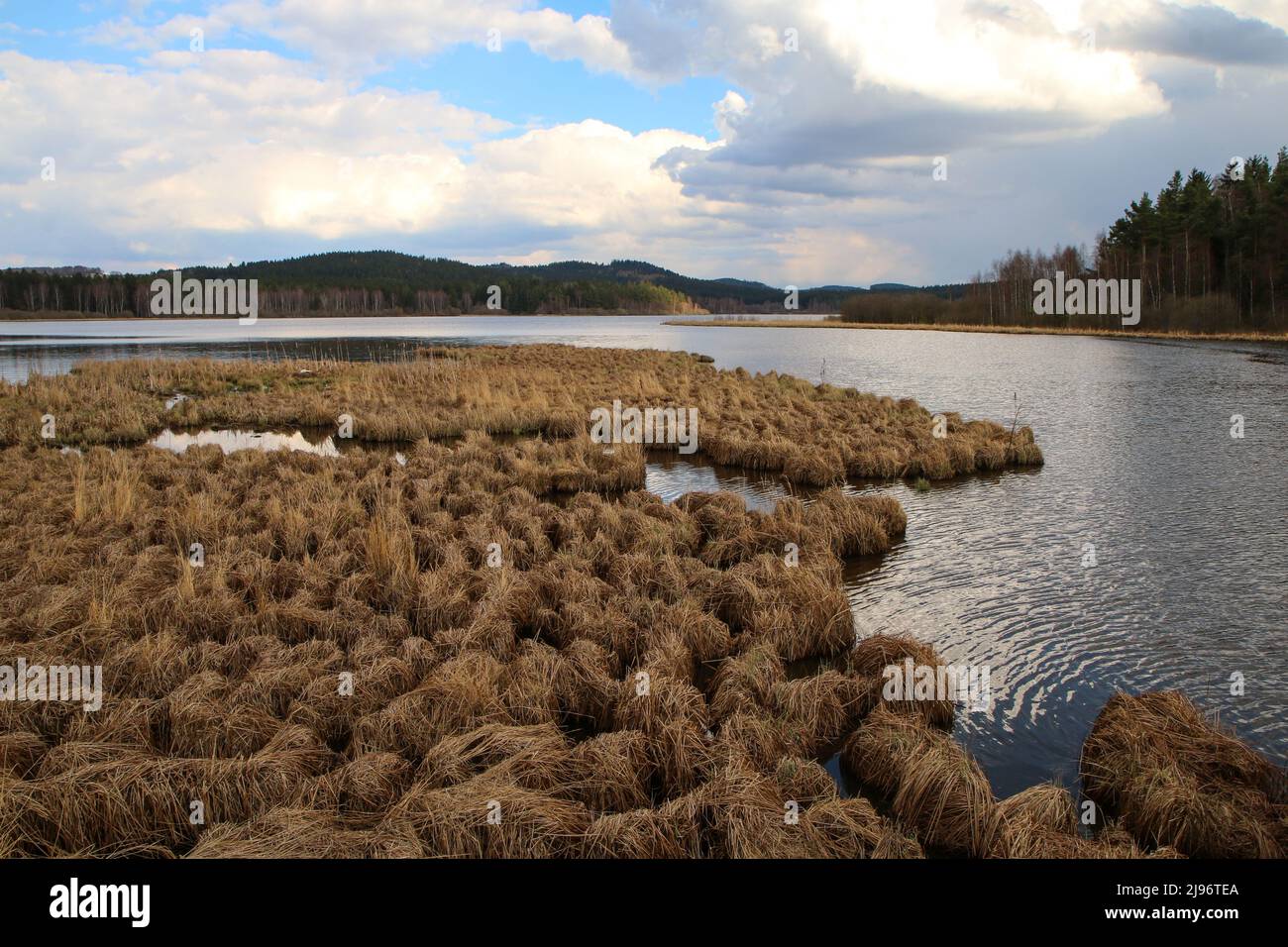 El área protegida en el parque nacional de Šumava en la República Checa