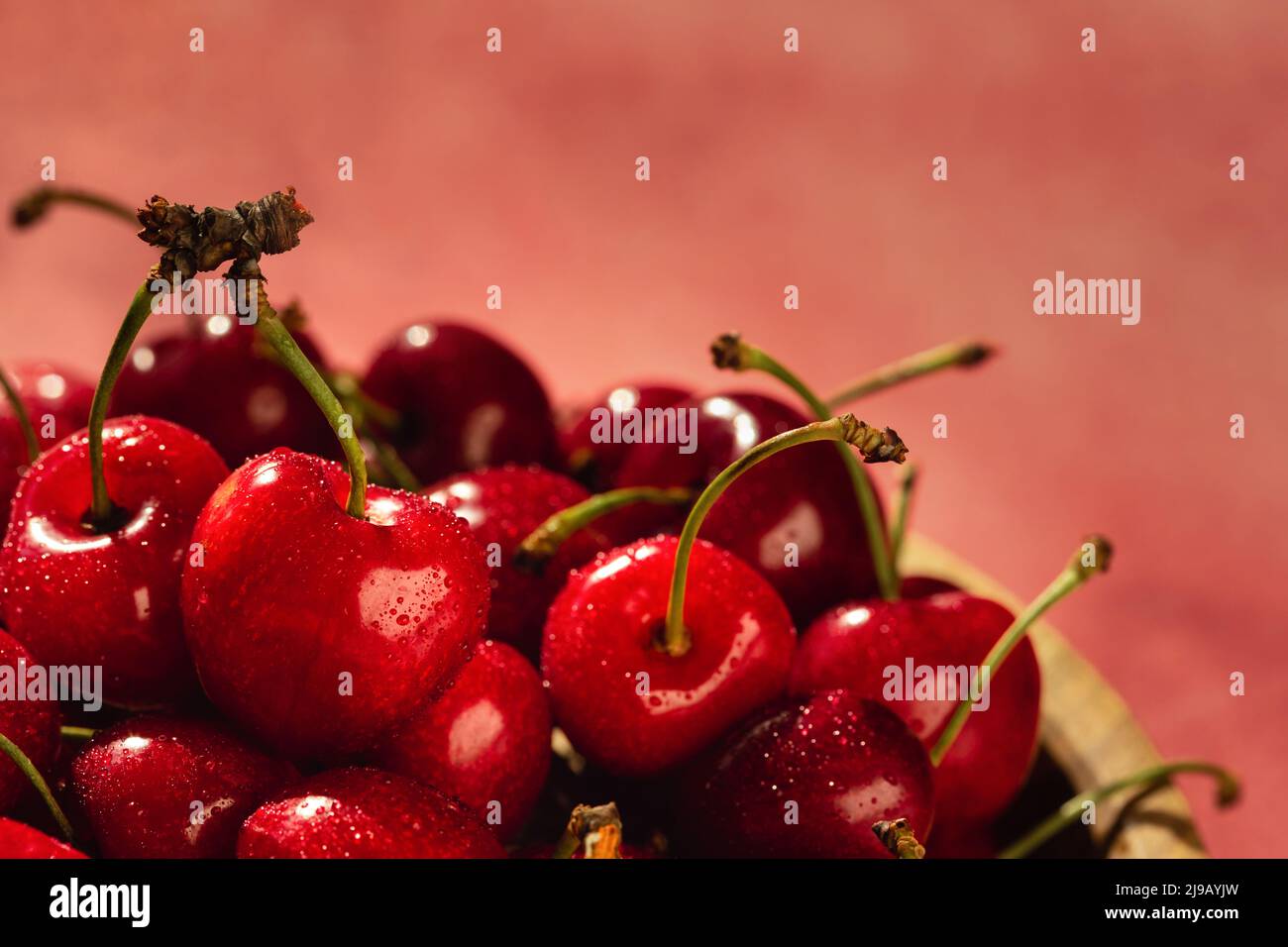 Vista angular de cerezas dulces maduras a la luz del sol sobre un fondo rojo. Foto de stock