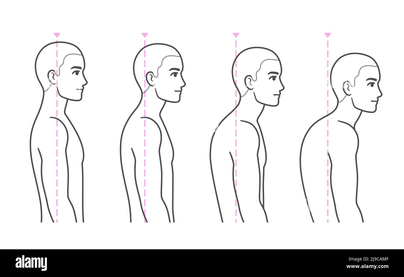 Cuello y top hombros dibujo