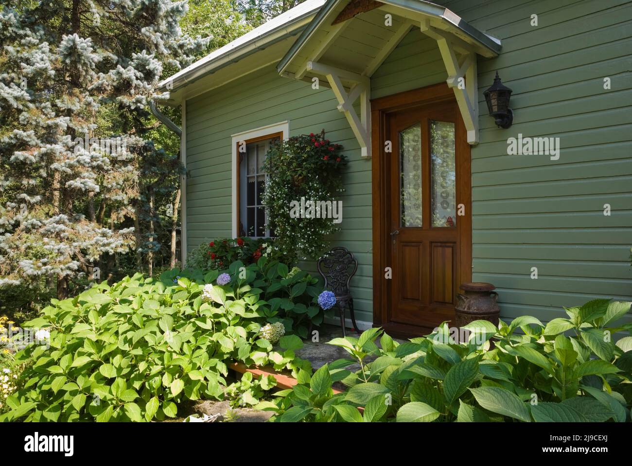 Old circa 1900 Canadiana casa estilo fachada con madera verde oliva tablón  de madera en el verano Fotografía de stock - Alamy
