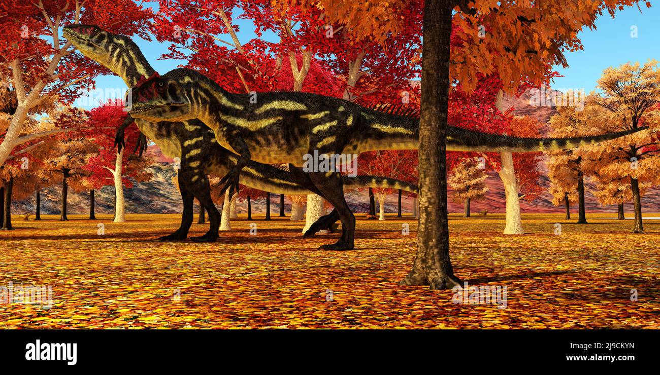 Los dinosaurios terópodos de Allosaurus vivieron en América del Norte durante el período Jurásico. Foto de stock