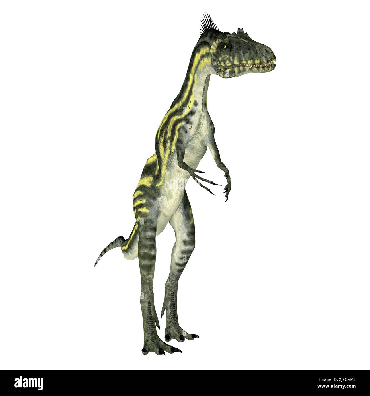Deltadromeo era un pequeño dinosaurio terópodo carnívoro que vivió en África durante el período Cretácico. Foto de stock