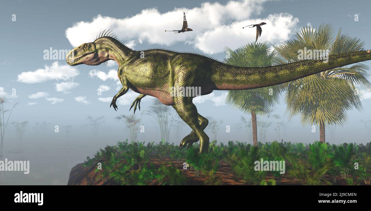 Dimorphodon Pterosaurio vuela sobre un dinosaurio carnívoro de Monolophosaurus en un área pantanosa. Foto de stock