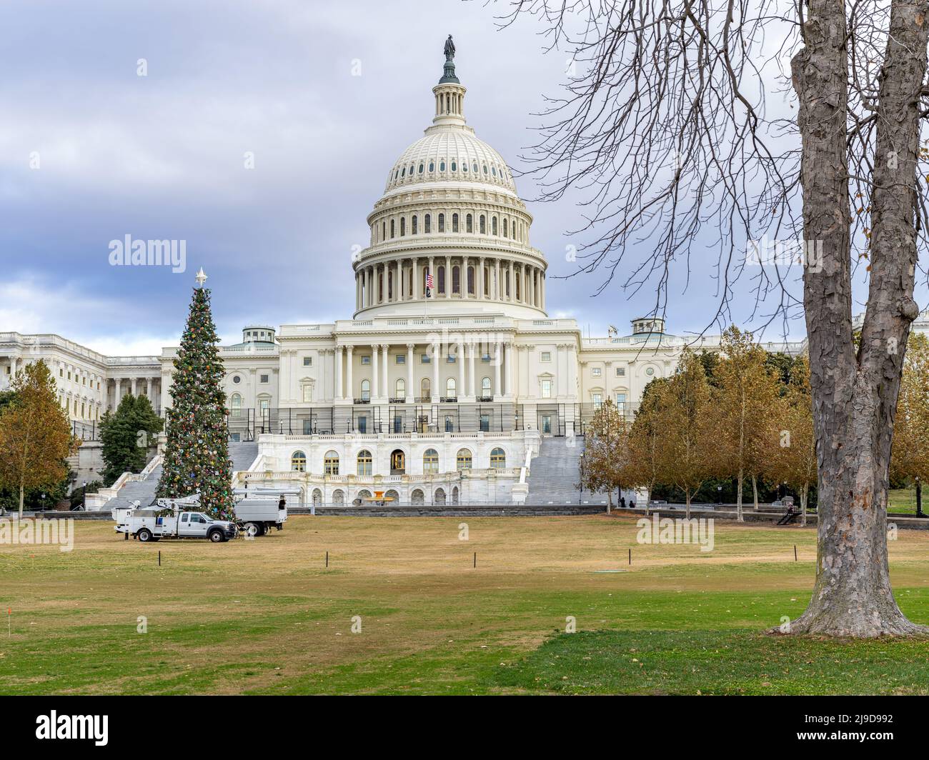 Edificio de la capital en Washington DC con árbol de Navidad que se está estableciendo Foto de stock