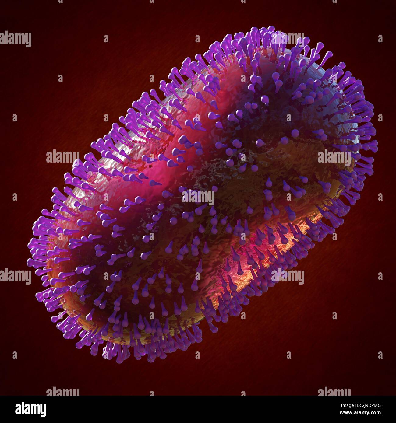 Virus de la viruela del simio, primer plano patógeno Foto de stock