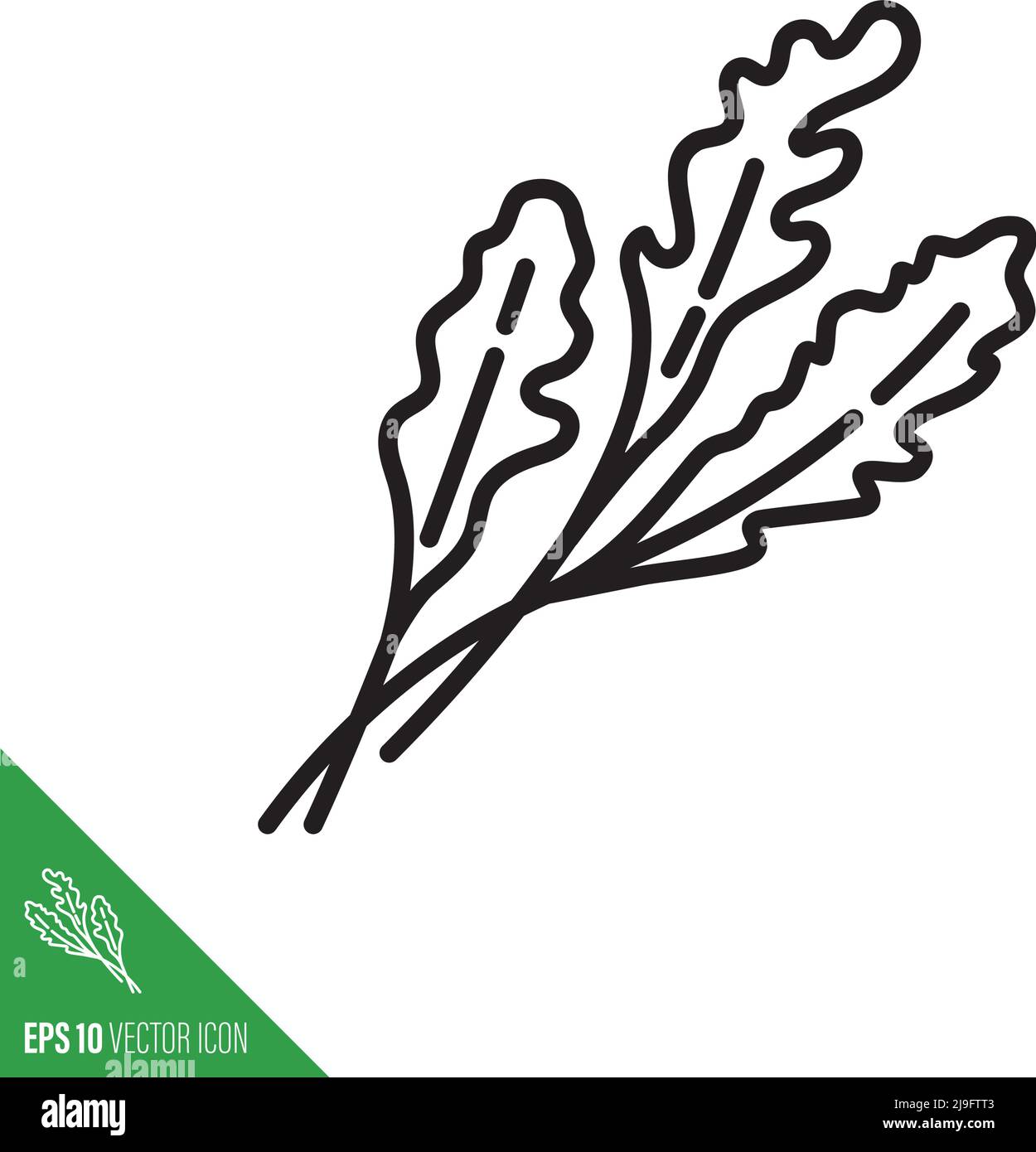 Cohete o rúcula hojas de verduras icono, contorno estilo ilustración vectorial Ilustración del Vector