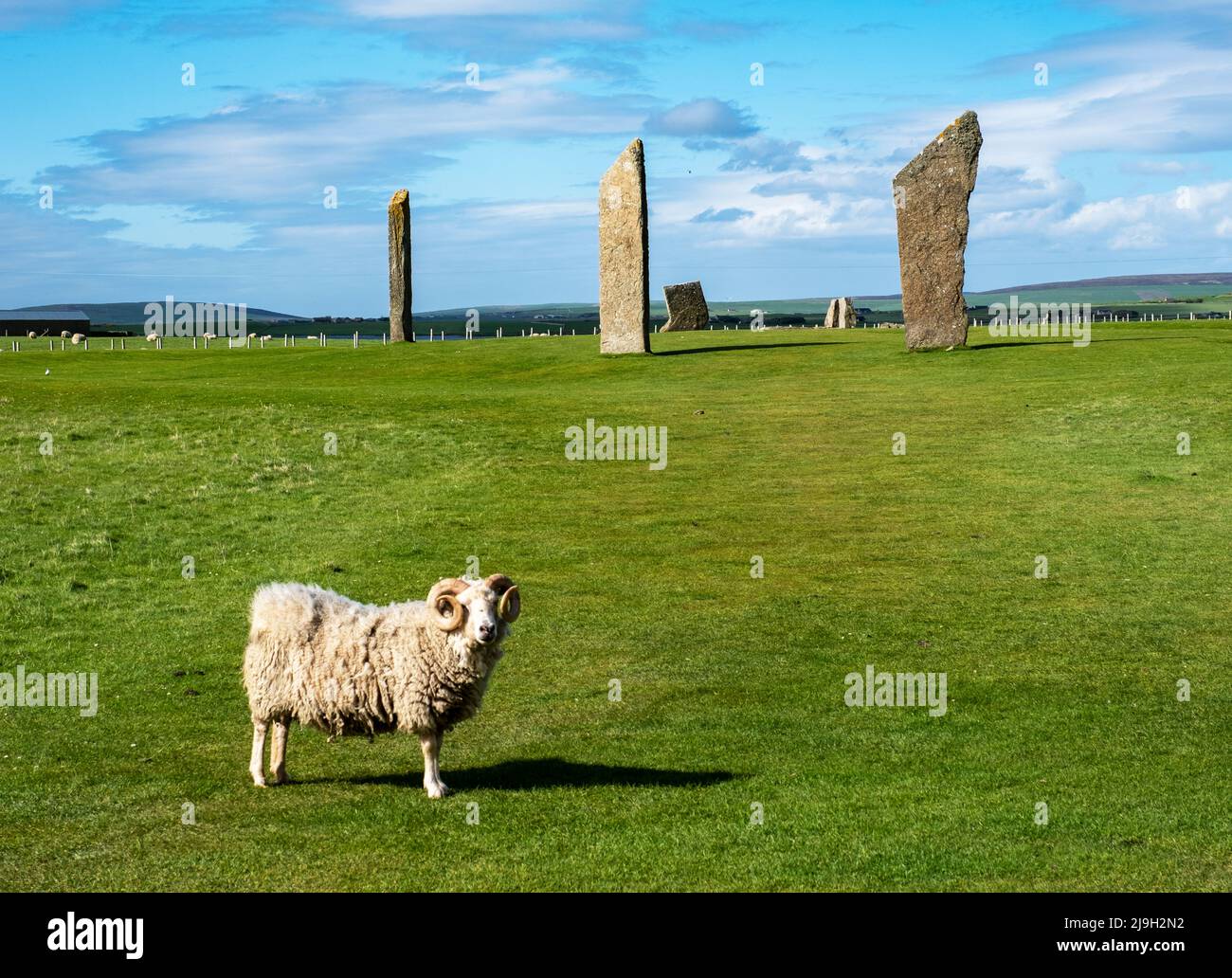 Piedras neolíticas de Stenness, Isla Orkney, Escocia. Foto de stock