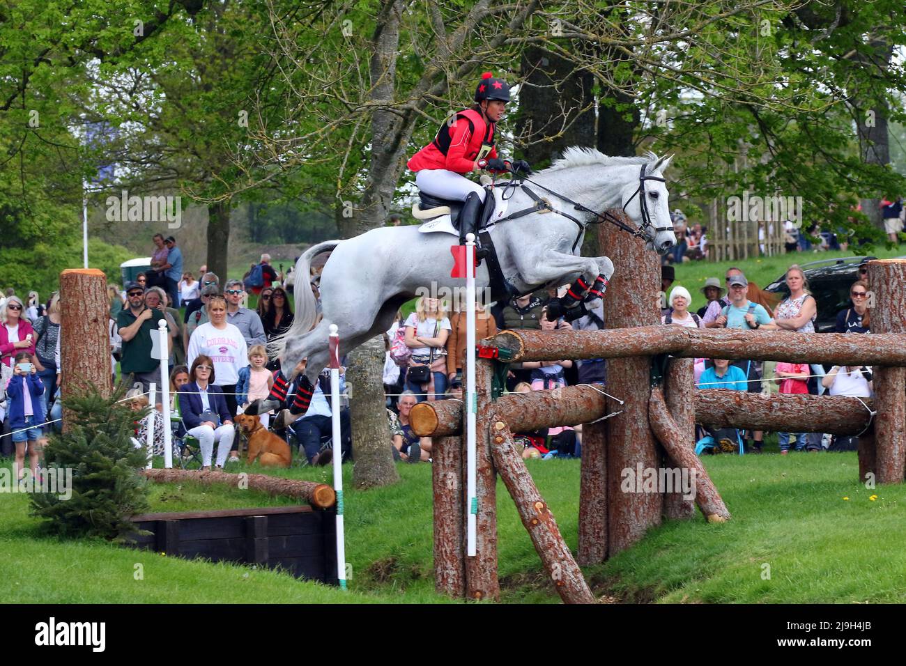 Fiona Kashel - Creevagh Silver de Haar - Cross Country en Badminton Horse Trials 2022 Foto de stock