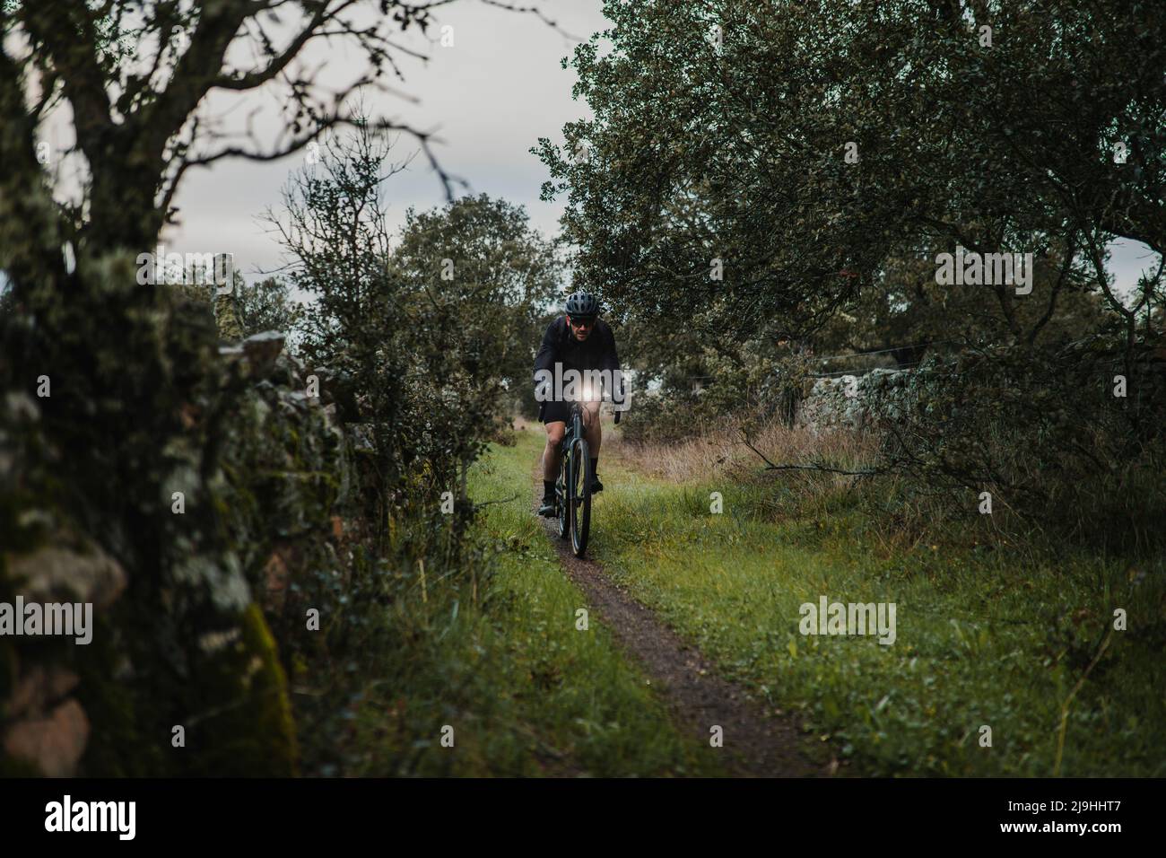 Ciclista montando en bicicleta entre plantas Foto de stock