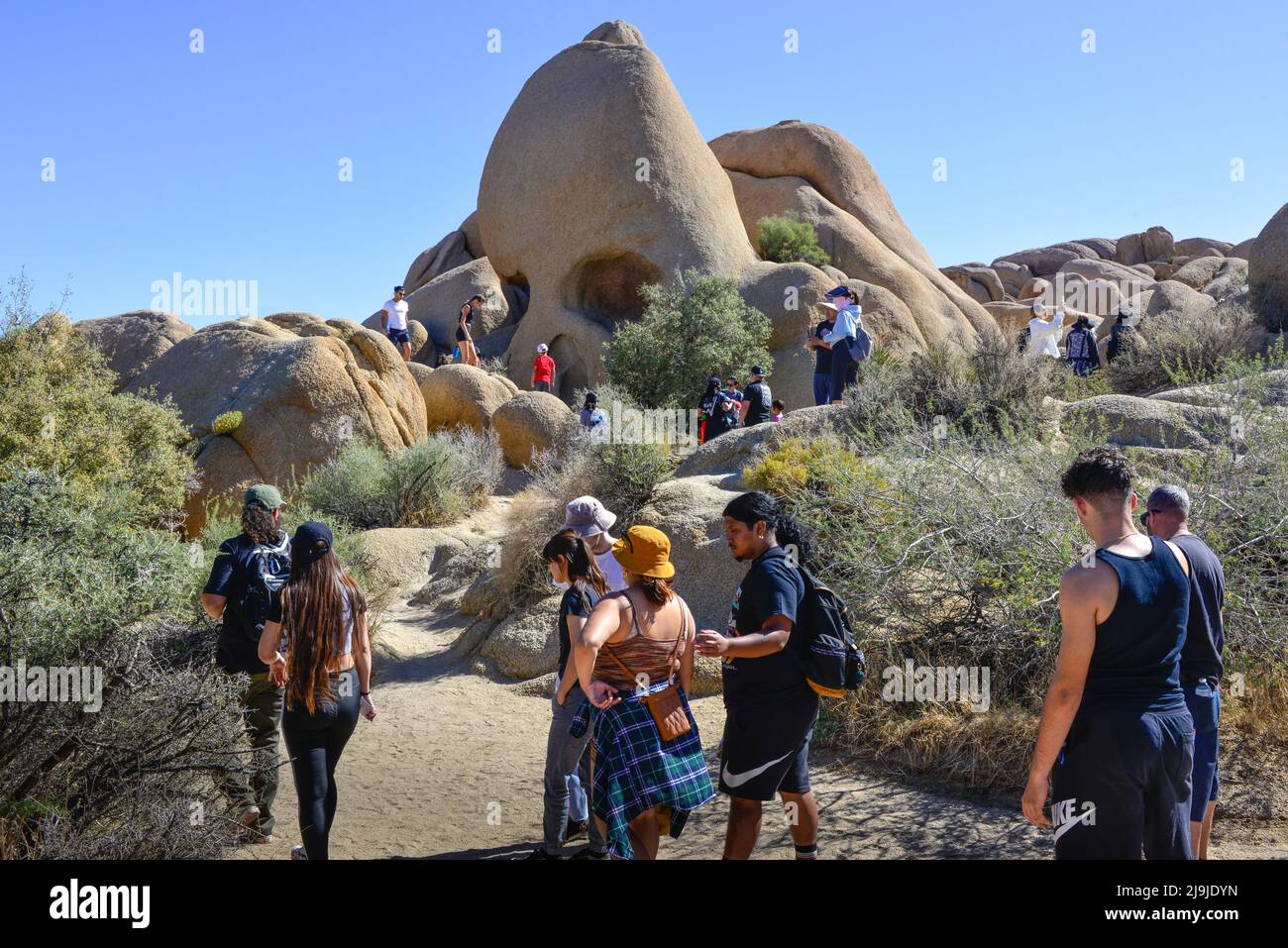 'Skull Rock', un hito en el Parque Nacional Joshua Tree es trepado por los turistas en las rocas de creación única, en el desierto de Mojave, CA Foto de stock