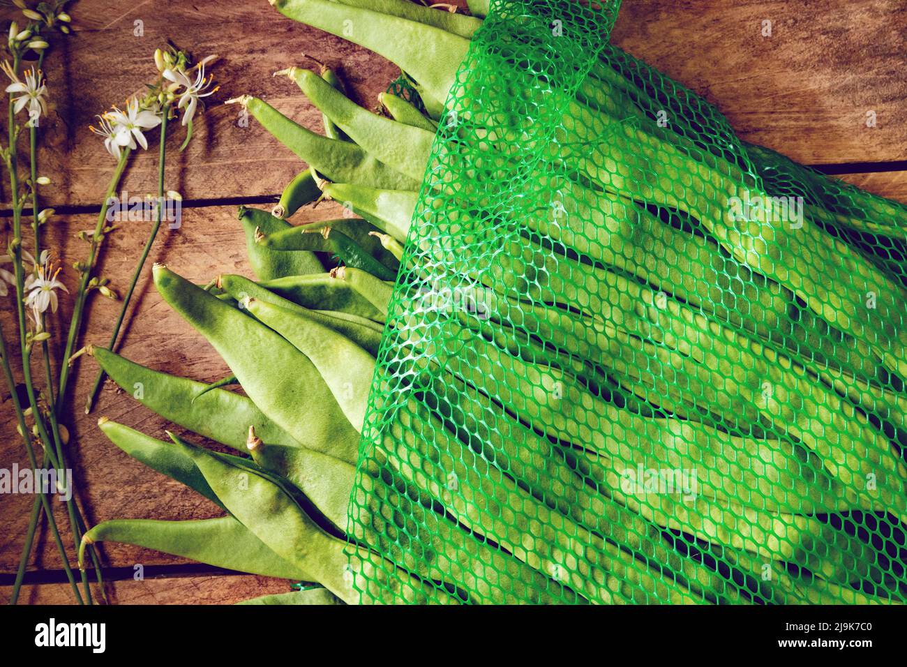Imagen rústica y natural de frijoles verdes frescos recién cosechados. Alimentos saludables y recetas de cocina Foto de stock