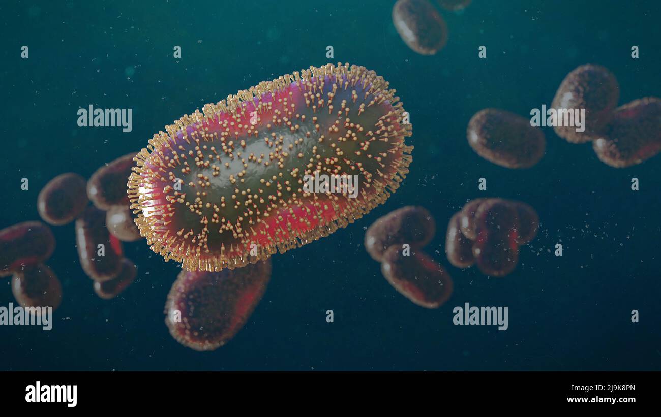 Virus de la viruela del simio, primer plano de patógenos microscópicos, enfermedad zoonótica infecciosa (ilustración de microbiología de 3D) Foto de stock