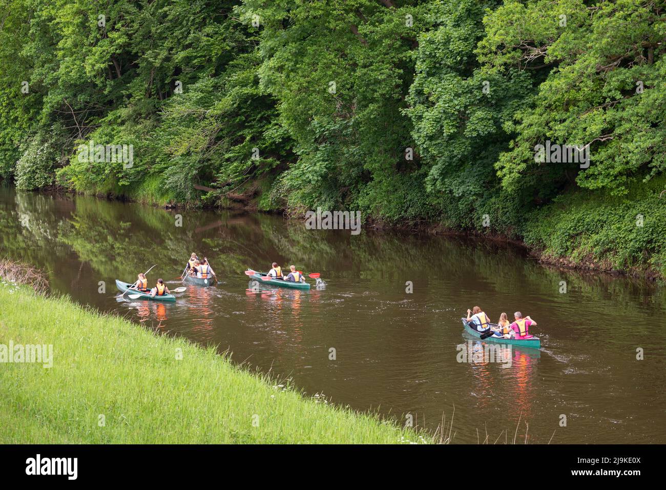 Piragüismo en grupo en el río Haase en Baja Sajonia, Alemania Foto de stock