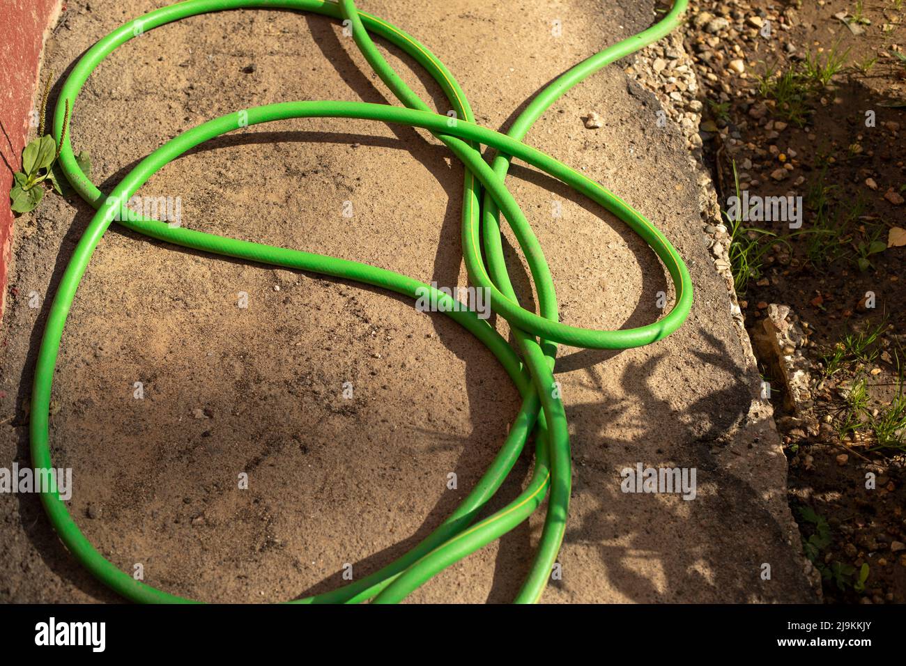 cinturón heroico Nombrar Manguera flexible verde para regar el jardín. Suministro de agua. Cable  enredado Fotografía de stock - Alamy