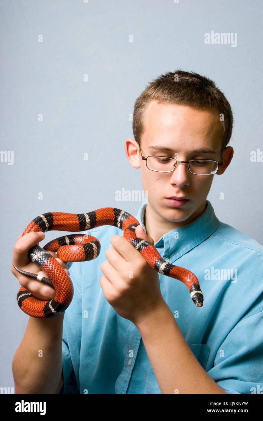 Chico sosteniendo serpiente Foto de stock