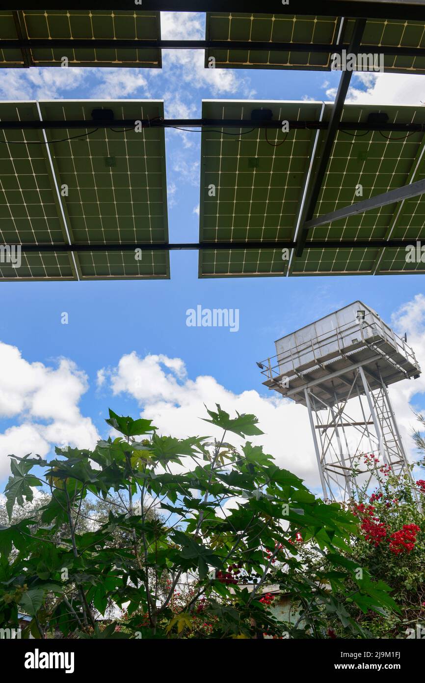 KENIA, Namanga, panel solar para bomba de agua solar para llenar un tanque para regar campos vegetales por riego por goteo Foto de stock
