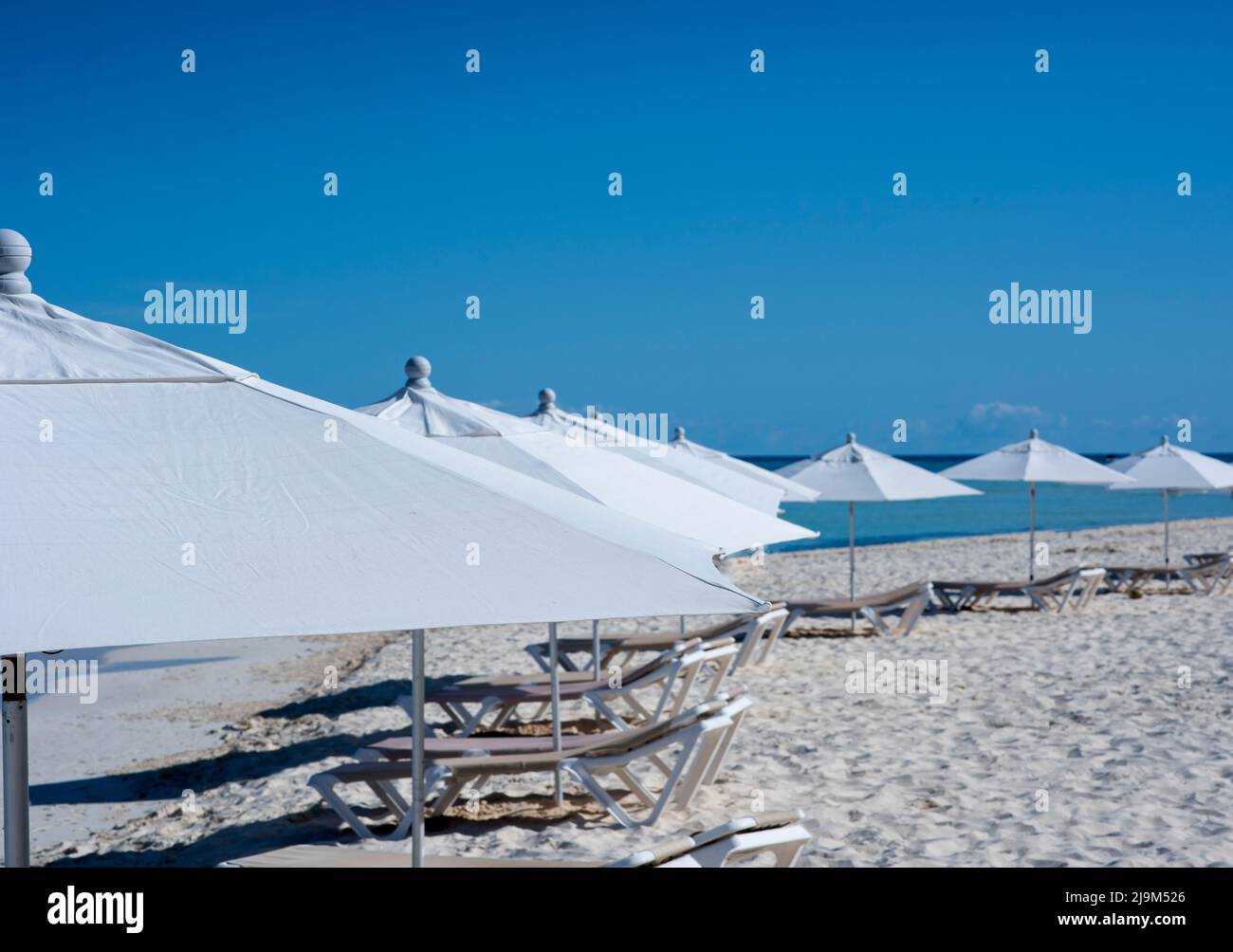 Hamacas y sombrillas blancas en una playa tropical desierta en Isla Mujeres, México Foto de stock