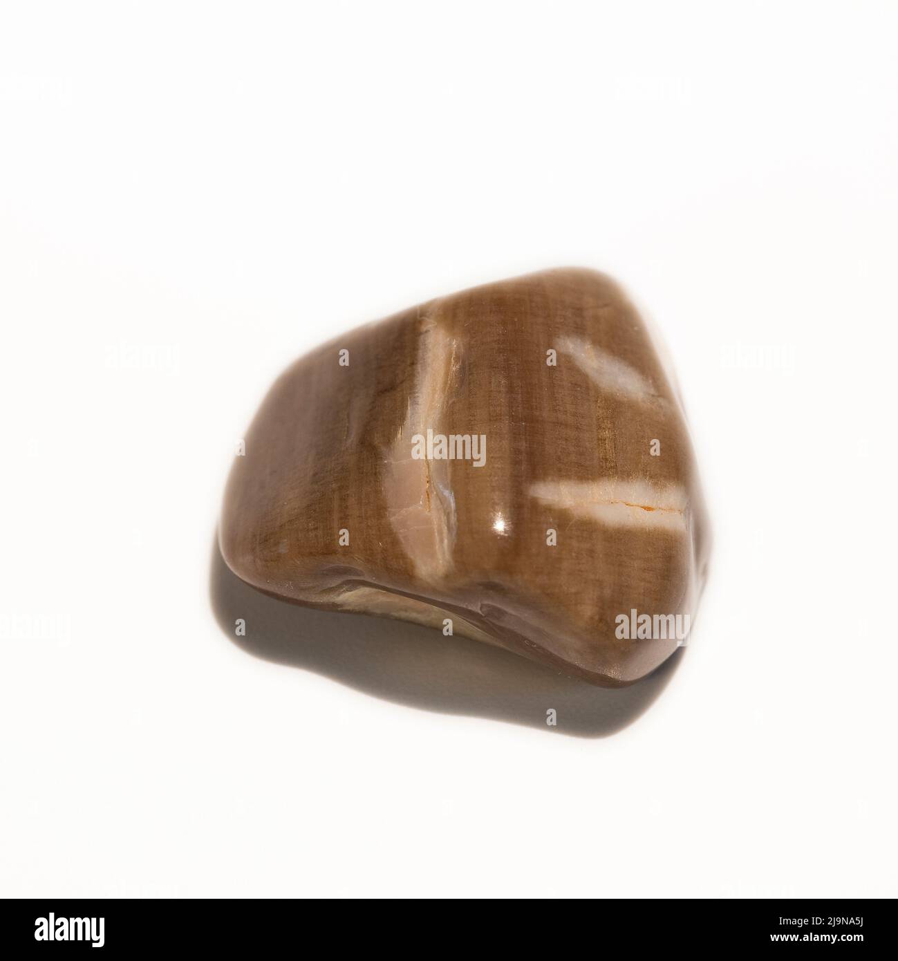 Macro FOTO EN COLOR FOTO DE 'Peanut Wood Petrificado' Una piedra preciosa semi-cristalina utilizada en la terapia de curación de cristales Foto de stock