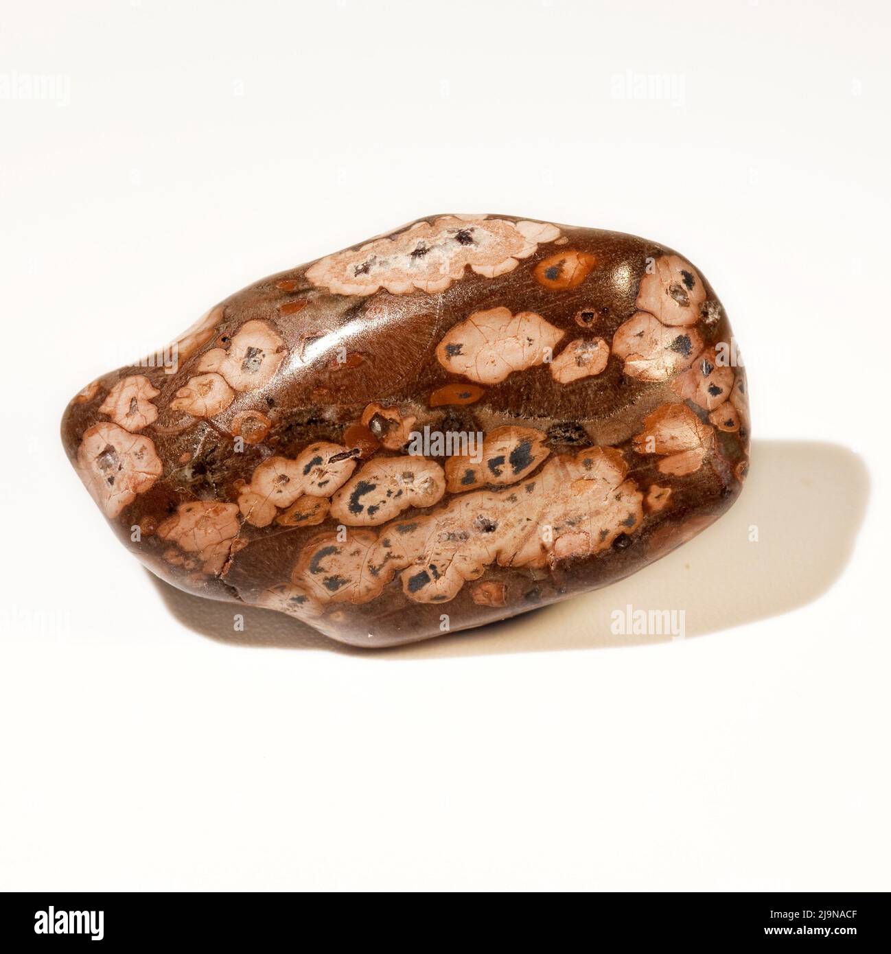 Macro FOTO EN COLOR FOTO DE 'Rhodolita' Una piedra preciosa semi-cristalina utilizada en la terapia de curación de cristales Foto de stock