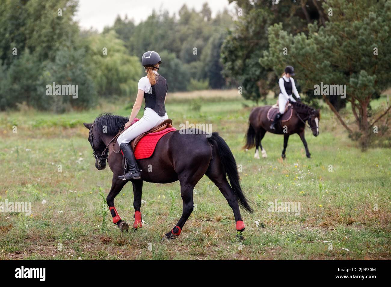 Dos jockey niña haciendo paseos a caballo en la pradera del campo. Equitación, entrenamiento y rehabilitación. Foto de stock