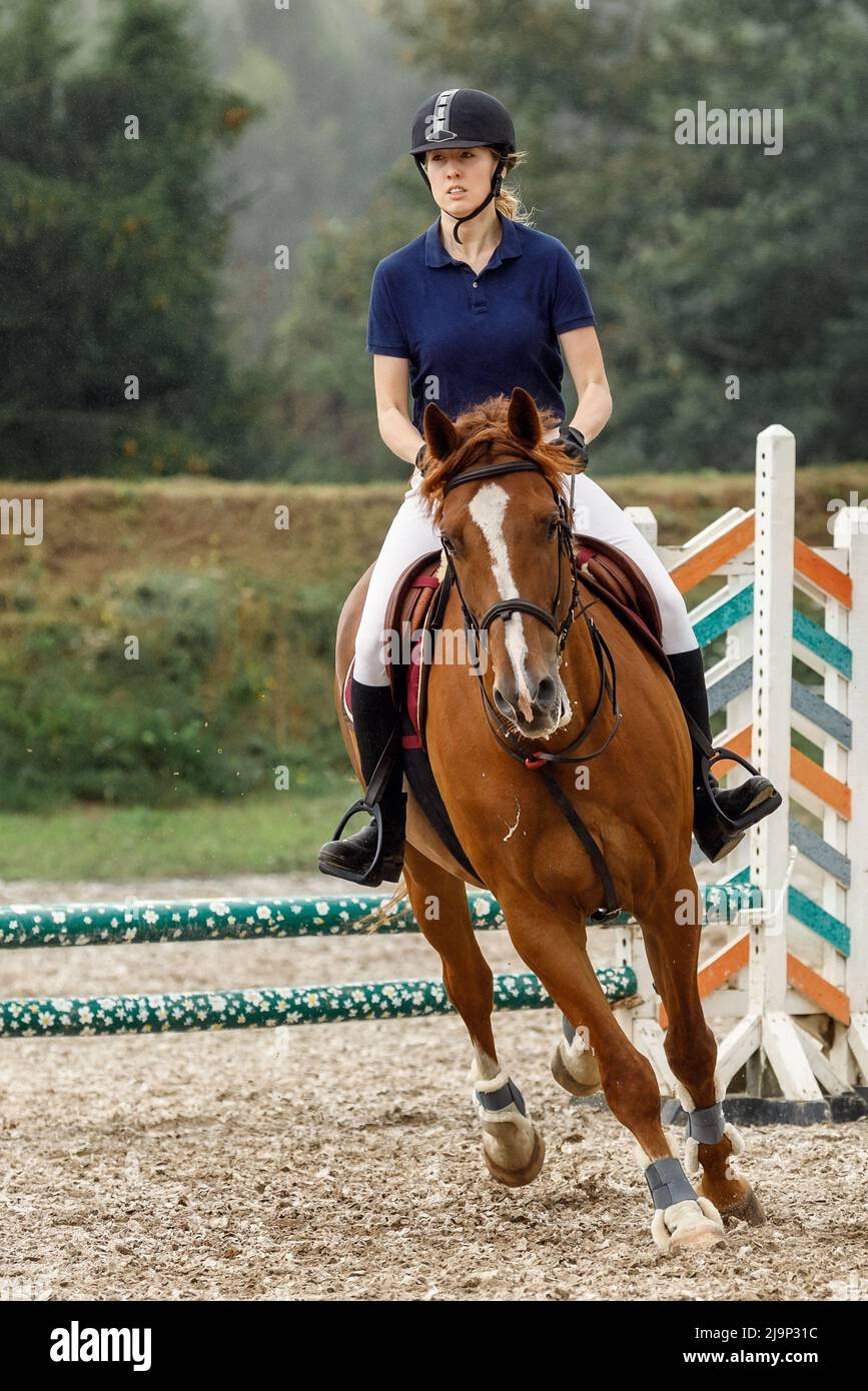 Jovencita jinete de caballo en el curso de salto de la demostración en la competición de deportes ecuestres. Foto vertical. Foto de stock