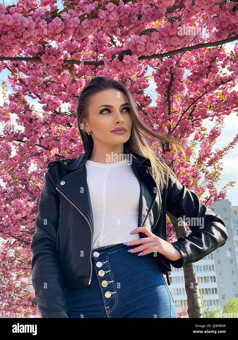 Hermosa mujer joven vestida de chaqueta negra, de color sakura flores en primavera Fotografía de stock -